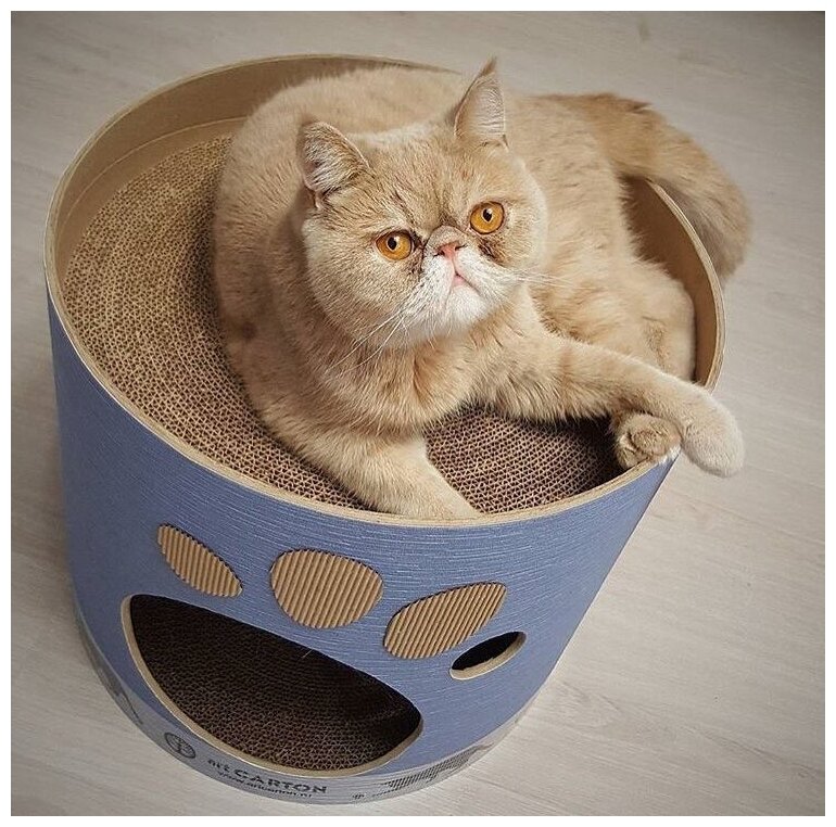 Домик с когтеточкой из картона TOWER диаметр 41 см арткартон для крупных кошек до 6 кг с двумя уровнями и жестким бортиком. Срок службы до 5-ти лет. - фотография № 6