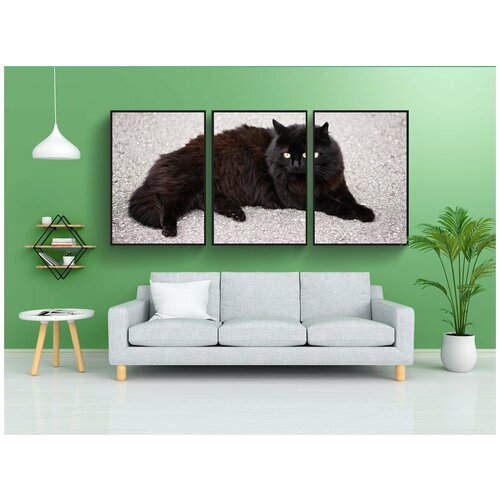 фото Набор модулных постеров для интерьера "кот, животное, млекопитающее" 60x90 см. в тубусе, без рамки lotsprints