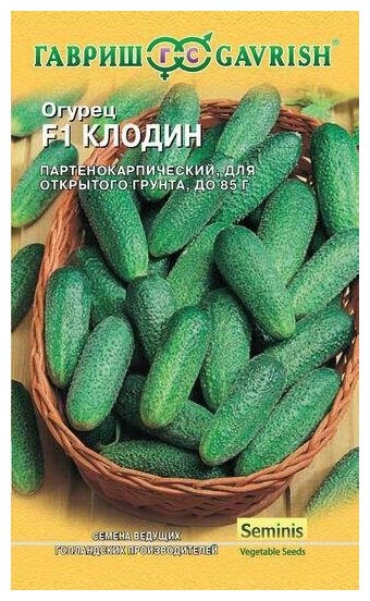 Семена. Огурец "Клодин F1" (5 штук) Голландия