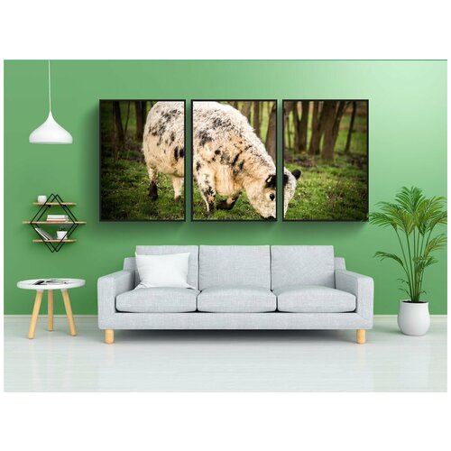 фото Набор модулных постеров для интерьера "млекопитающее, природа, трава" 60x90 см. в тубусе, без рамки lotsprints