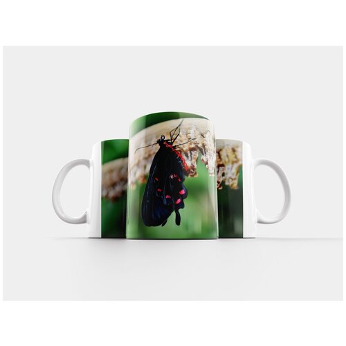 фото Кружка "кокон, бабочка, насекомое" 320 мл lotsprints