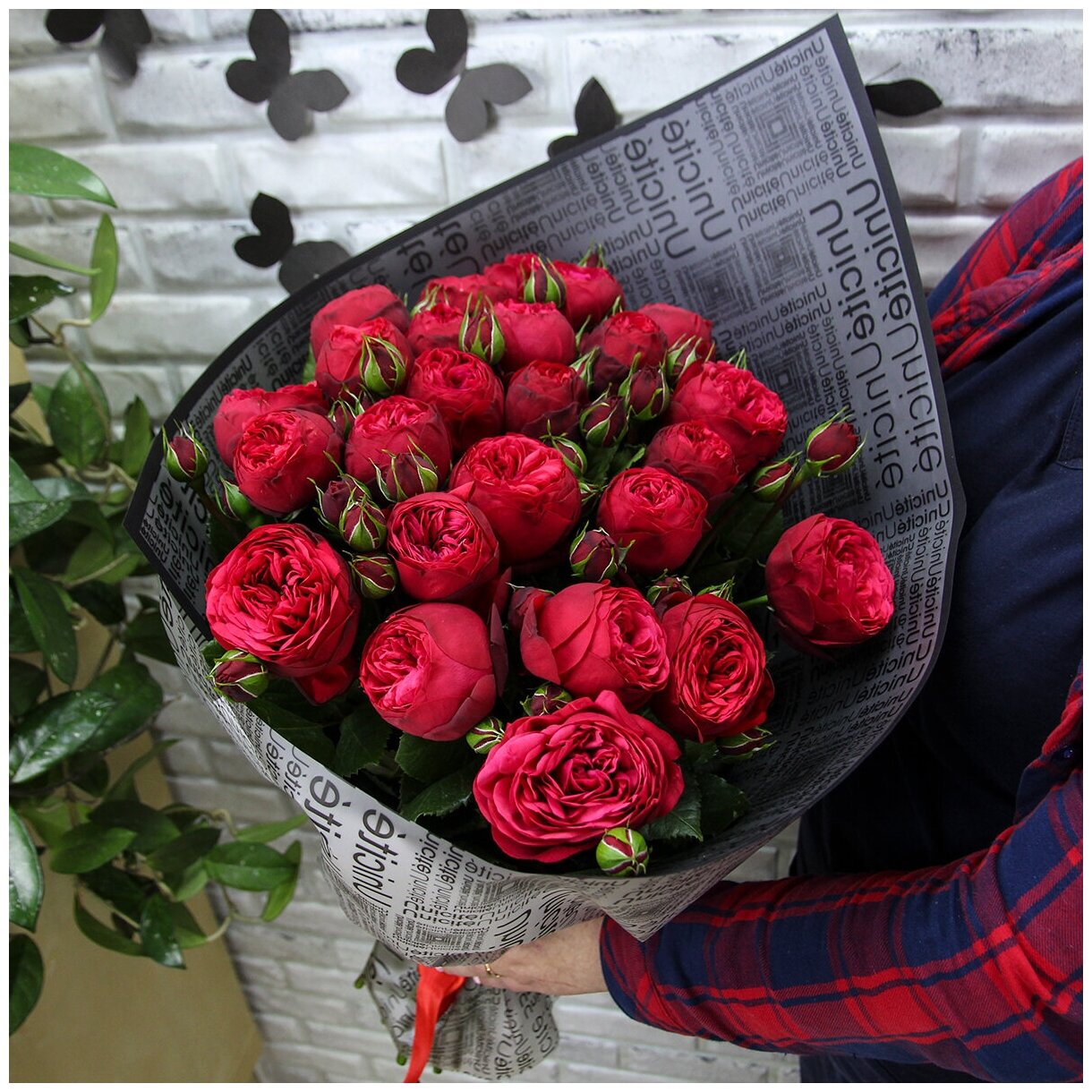 Цветы живые букет из 25 пионовидных роз Ред Пиано в дизайнерской упаковке с атласной лентой