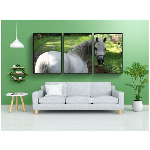фото Набор модулных постеров для интерьера "пони, трава, голова" 60x90 см. в тубусе, без рамки lotsprints