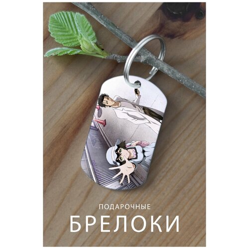 фото Брелок для ключей врата штейна, брелок мужской женский аксессуар, брелок на ключи детский подарок ребенку сыну дочке в виде жетона, подарок zhenya cloud