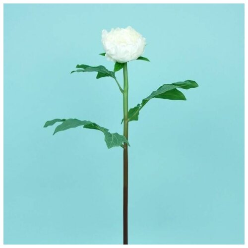 Искусственные цветы пион "Романтика" белый 65 см для декора