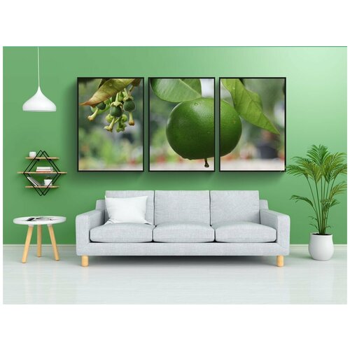 фото Набор модулных постеров для интерьера "грейпфрут, фрукты, еда" 60x90 см. в тубусе, без рамки lotsprints
