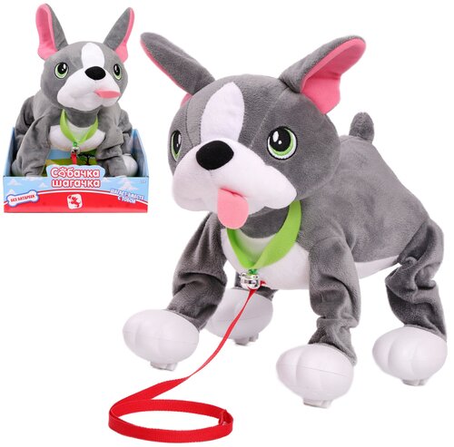 Интерактивная мягкая игрушка Собачка-Шагачка 243518 Собака на поводке Французский бульдог, ходит без батареек, 28 см