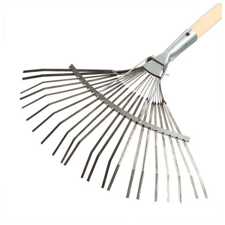 фото Грабли веерные, пластинчатые, 22 зубца, оцинкованная сталь, деревянный черенок, 1 сорт