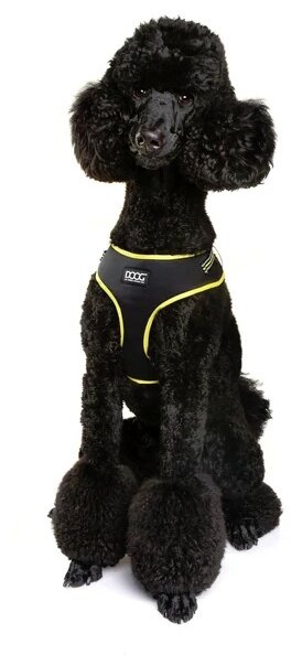 Шлейка для собак DOOG "NEOFLEX BOLT", чёрный с жёлтым кантом, L (Австралия) - фотография № 4