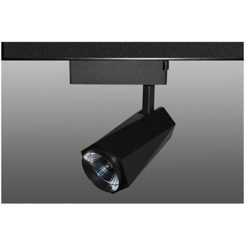 ShopLEDs Трековый светодиодный светильник DT-179 (30W, 4100K, однофазный, черный корпус)