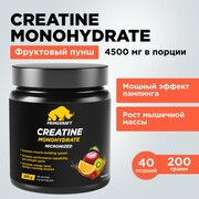 Креатин Моногидрат Микронизированный PRIMEKRAFT Creatine Monohydrate Micronized, фруктовый пунш, банка 200 гр / 40 порций