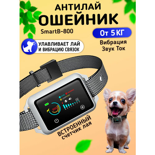 Ошейник антилай для собак SmartB-800 с цветным дисплеем