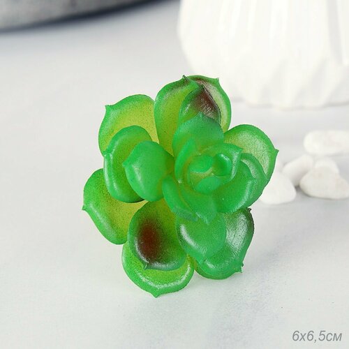 Суккулент искусственный 6х65 см 358₽