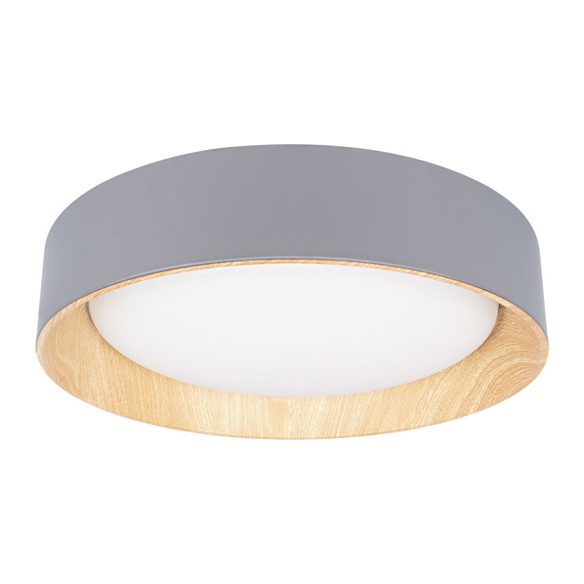 Loft IT Потолочный светильник Loft it Coin 10202 Grey