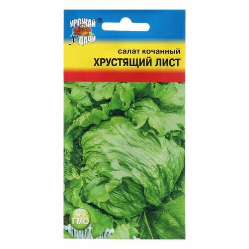 Семена Салат Хрустящий лист, ( 1 упаковка ) семена салат орфей зеленый хрустящий 1 0 г