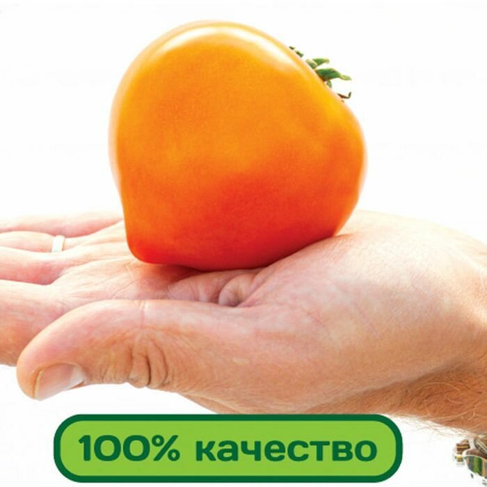 Томат золотая миля отзывы фото Мушмула ранняя 2 года хранения - купить по низкой цене на Яндекс Маркете
