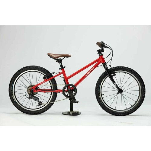 Велосипед детский 20 Timetry TT267 Красный 10 рама 23340₽