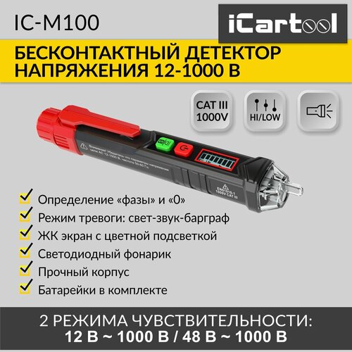 iCartool IC-M100