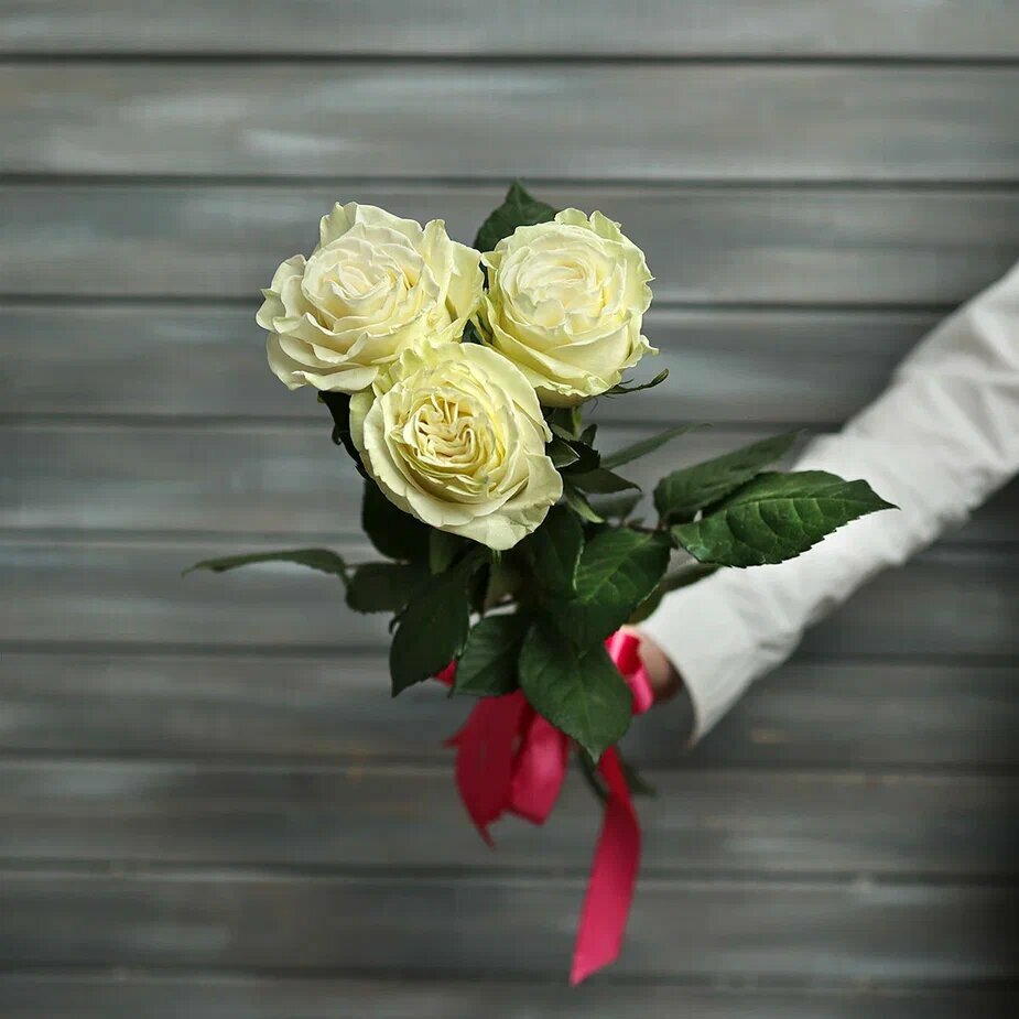 3 белые розы Эквадор 50 см