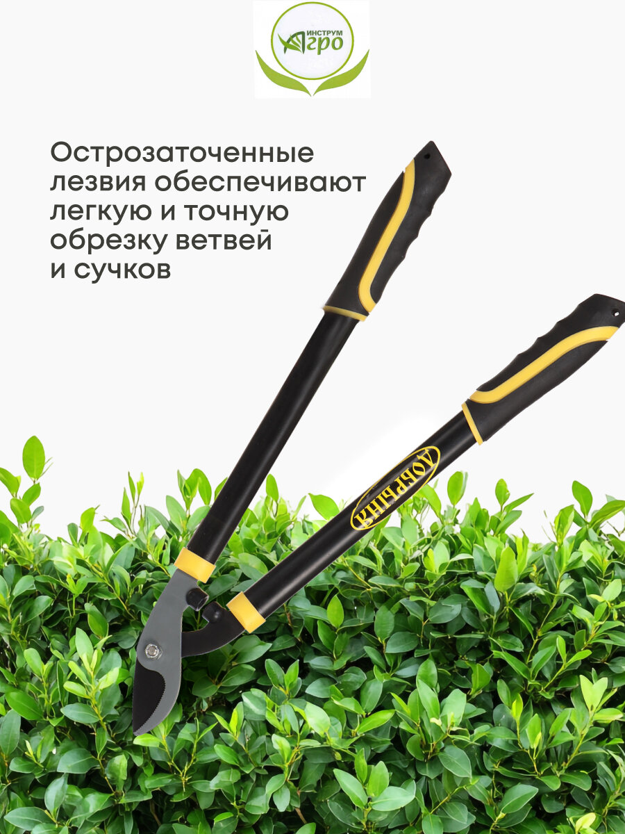 Изображение Ножницы кусторез садовые для дачи, 570 мм, для кустарников, Инструм-Агро, Добрыня М