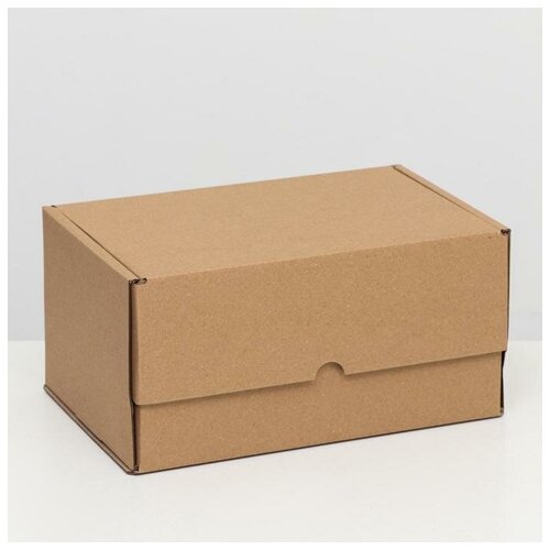 Коробка самосборная "Почтовая", бурая, 30 х 20 х 15 см, 7159607