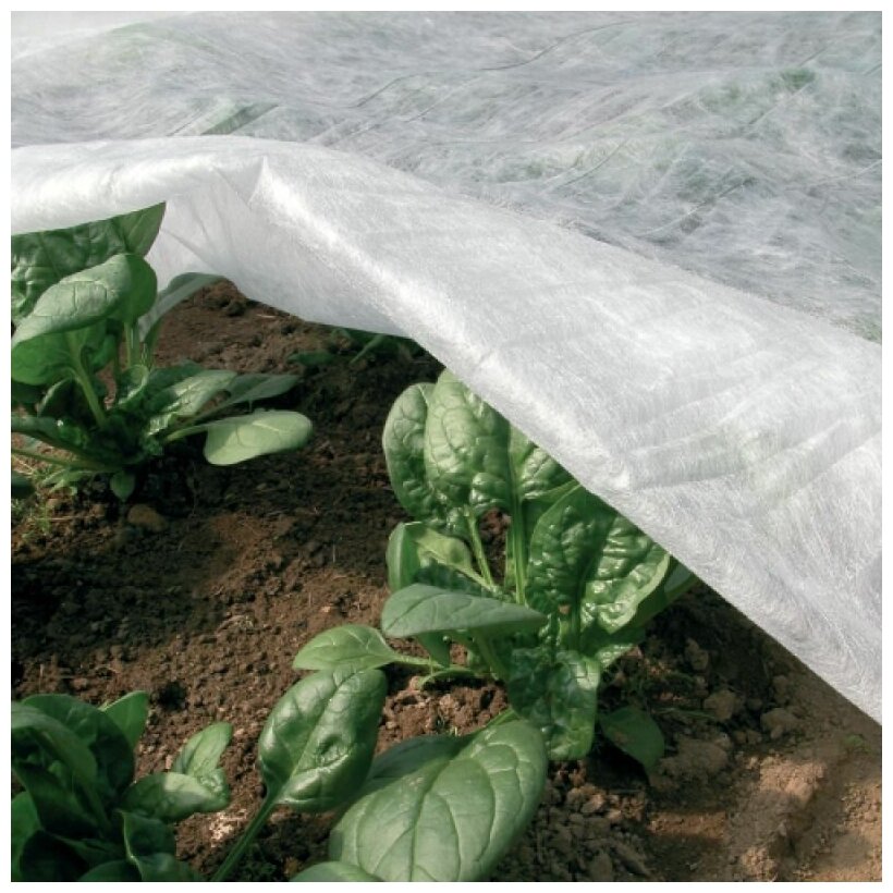 Спанбонд укрывной материал для растений защитный СУФ 42 г/м2 (2,1 х 10 м) белый