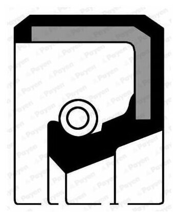 Сальник PAYEN NJ045