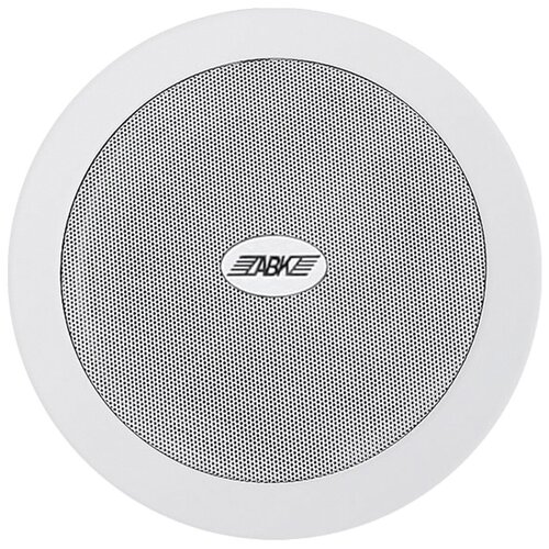 Акустическая система потолочная ABK WA-122 416000₽