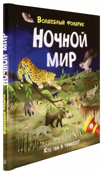 Волшебный фонарик. Ночной мир (Риган Лиза) - фото №2