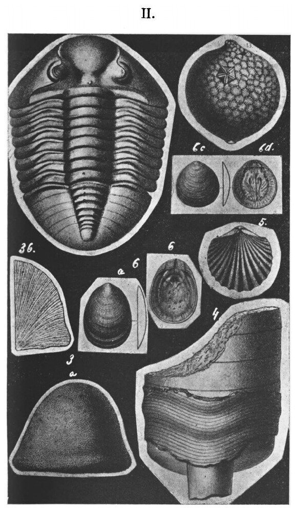 Книга Особенности нарвского края - фото №3