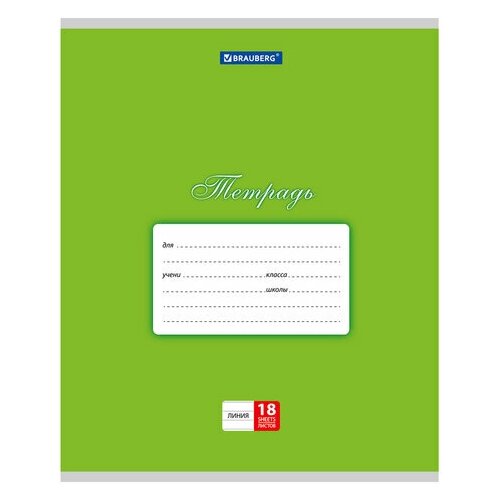 Тетрадь 18 л. BRAUBERG классика линия обложка картон зеленая, 40 шт