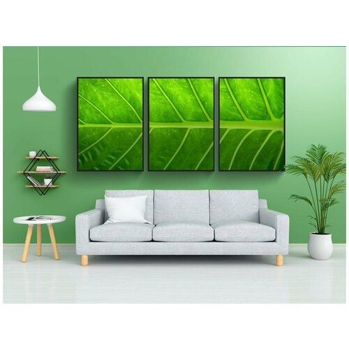 фото Набор модулных постеров для интерьера "лист, природа, дерево" 60x90 см. в тубусе, без рамки lotsprints