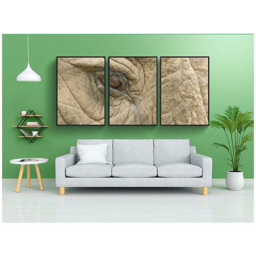 фото Набор модулных постеров для интерьера "слон, глаз, слоны" 60x90 см. в тубусе, без рамки lotsprints