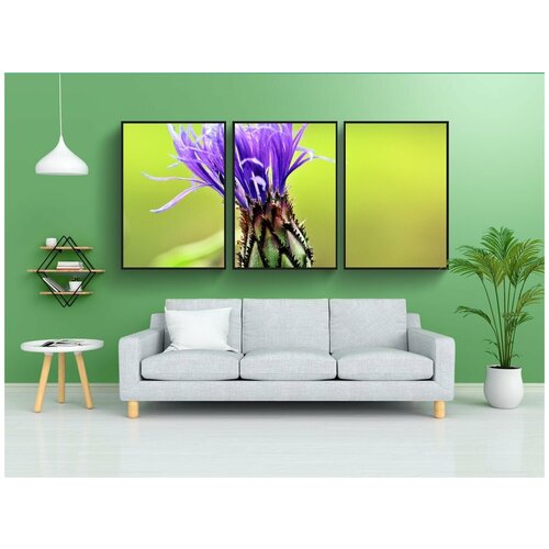 фото Набор модулных постеров для интерьера "васильковый, василек, цветок" 60x90 см. в тубусе, без рамки lotsprints