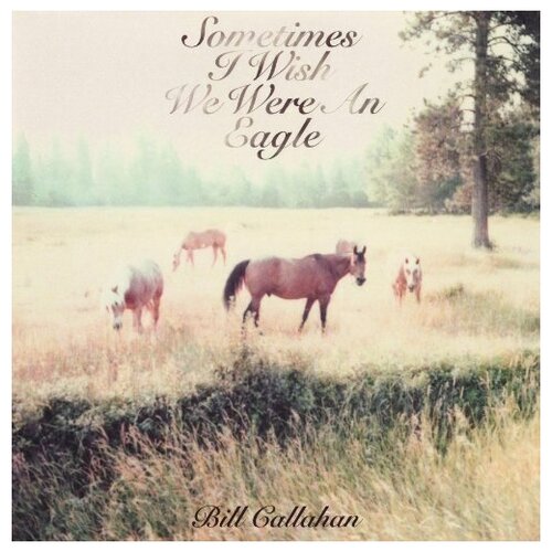 Bill Callahan: Sometimes I Wish We Were An Eagle [Vinyl]