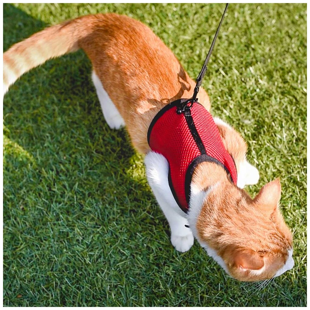 Мягкая шлейка с поводком Ferplast JOGGING XL красный, для кошек - фотография № 5