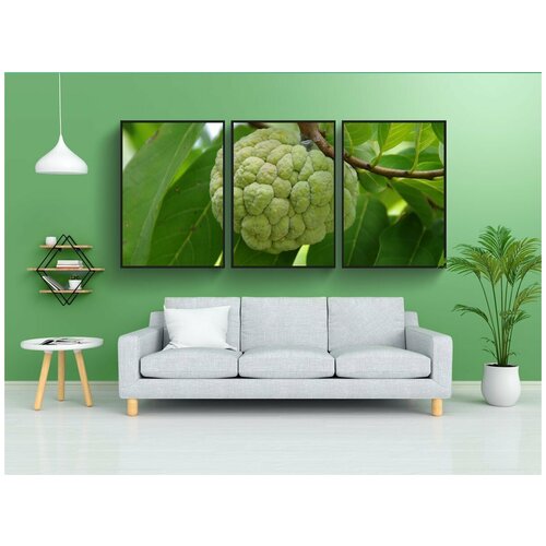 фото Набор модулных постеров для интерьера "фрукты, еда, свежий" 60x90 см. в тубусе, без рамки lotsprints