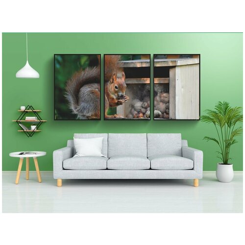 фото Набор модулных постеров для интерьера "белка, евразийский белочка, грызун" 60x90 см. в тубусе, без рамки lotsprints