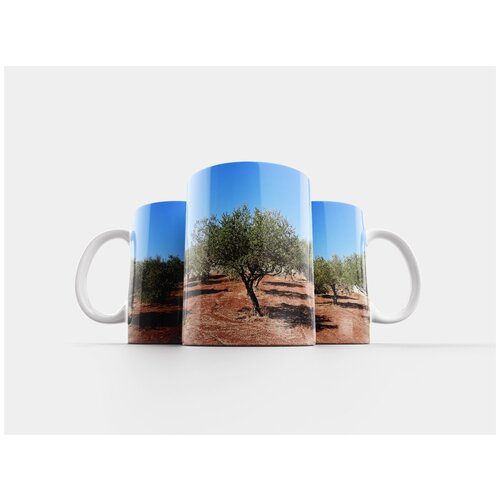 фото Кружка "оливковые деревья, поле, дерево" 320 мл lotsprints