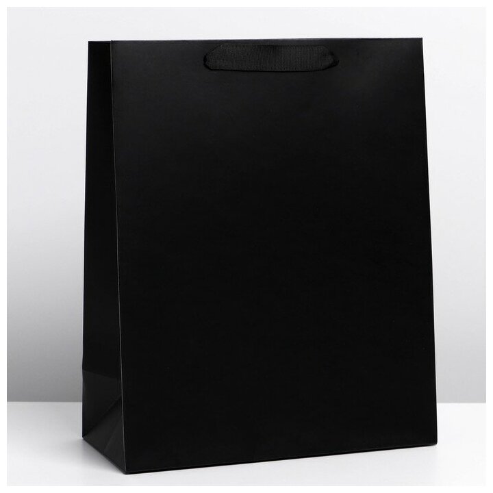 Пакет ламинированный «Чёрный», ML 23 × 27 × 11.5 см
