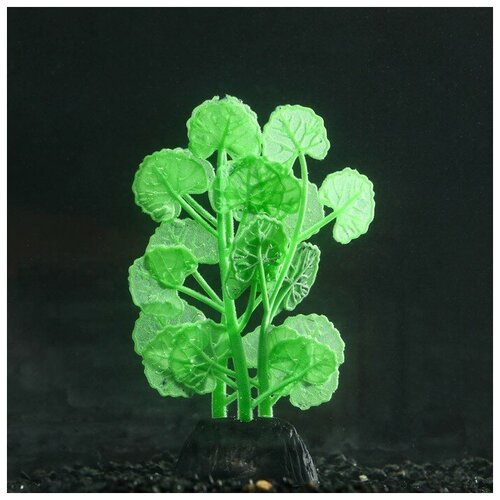 Frau Liebe Растение силиконовое аквариумное, светящееся в темноте, 7 х 11 см, зелёное