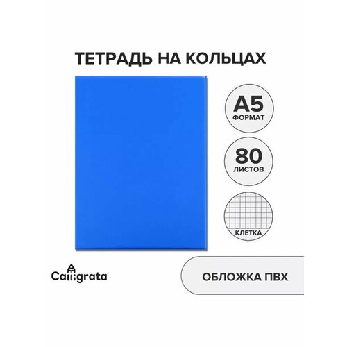 Тетрадь на кольцах А5 80 листов клетка 699₽