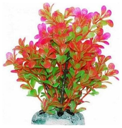 Уют ВК409 Растение Людвигия розово-зеленая 20см (1 шт)