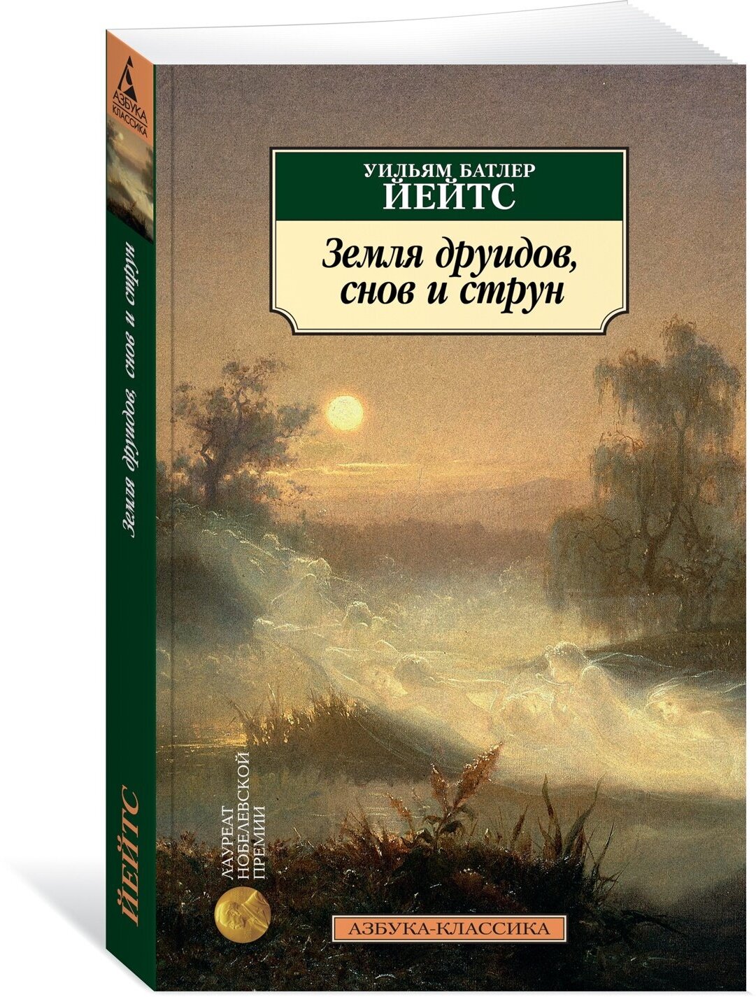 Книга Земля друидов, снов и струн