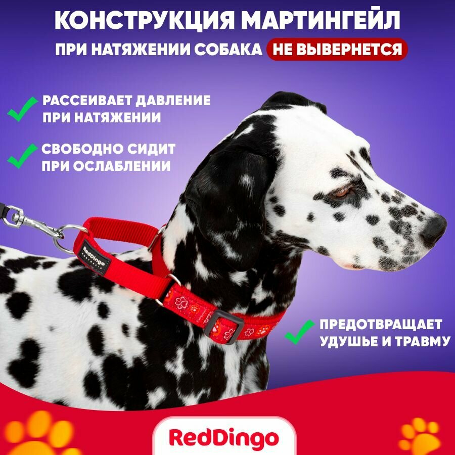 Mартингейл ошейник для собак Red Dingo красный Plain - фотография № 3