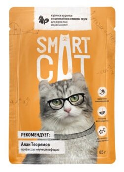 Smart Cat Паучи для взрослых кошек и котят кусочки курочки со шпинатом в нежном соусе 85гр*25шт - фотография № 4
