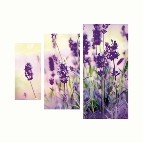 Модульная картина Цветы лаванды Размер66х60см 14х3018х4028х60 1517₽