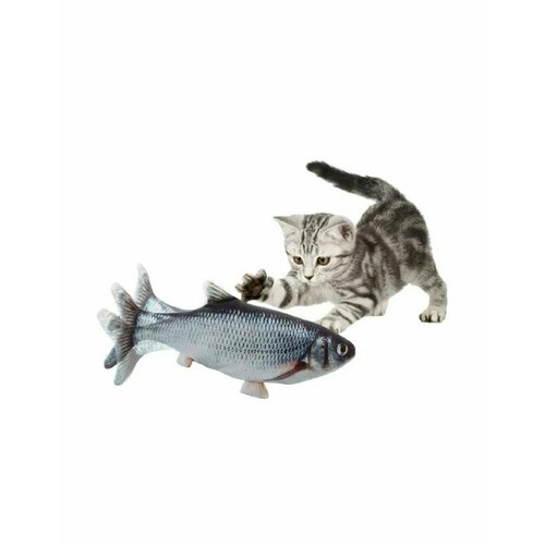 Игрушки для кошек, интерактивная игрушка рыба, дразнилка для кошек, игрушки для котят, рыба игрушка от BasMarket интерактивная игрушка рыба для кошек и собак мелких пород