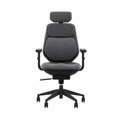 Умное офисное кресло Xiaomi Backrobo Intelligent Pneumatic Waist Support Office Chair Classic Black (C1X)