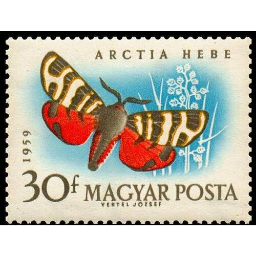 (1959-066) Марка Венгрия Медведица геба Бабочки II Θ 1959 104 марка ссср парашютист спортивная серия досааф ii θ